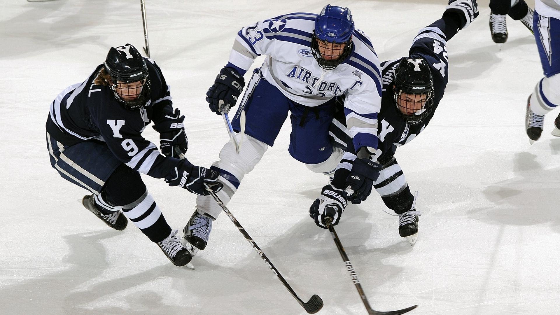 社区力量壮大:打造多元文化融合的电竞粉丝圈,社区粉丝运营模式